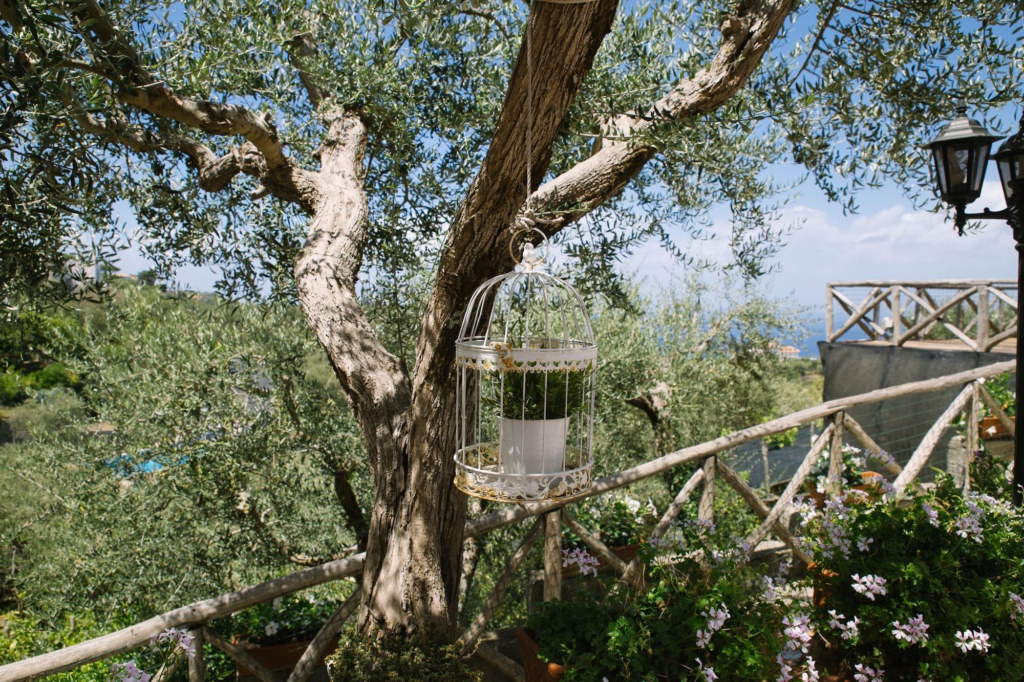 Villa Carolina Sorrento Private Heated Pool And Sea View Екстер'єр фото