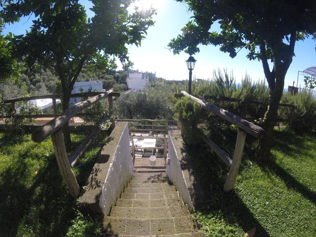 Villa Carolina Sorrento Private Heated Pool And Sea View Екстер'єр фото